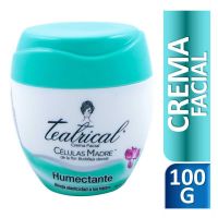 Crema Facial Teatrical Humectante 100 g