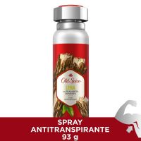 Spray Antitranspirante Leña 93 gr