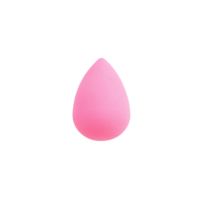 FS Esponja eliptica blender x1
