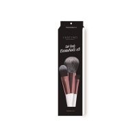 Set de 3 Brochas Tool Essentials